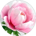 test8